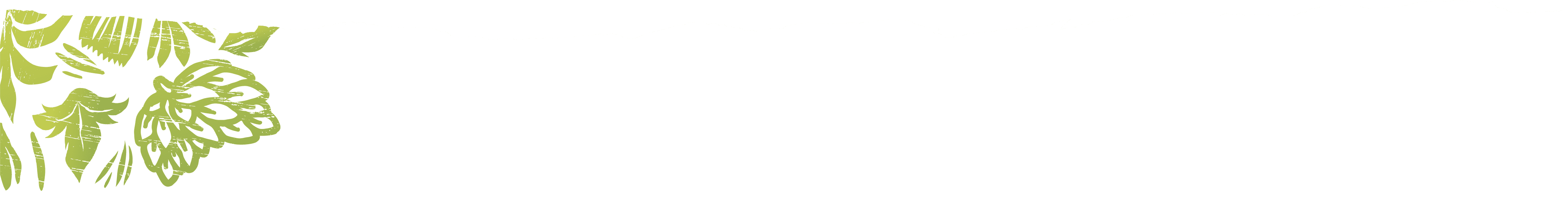 An image of a green leaf with a white background.